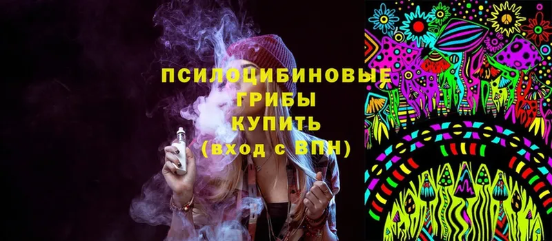 Псилоцибиновые грибы Psilocybe  сколько стоит  Свирск 